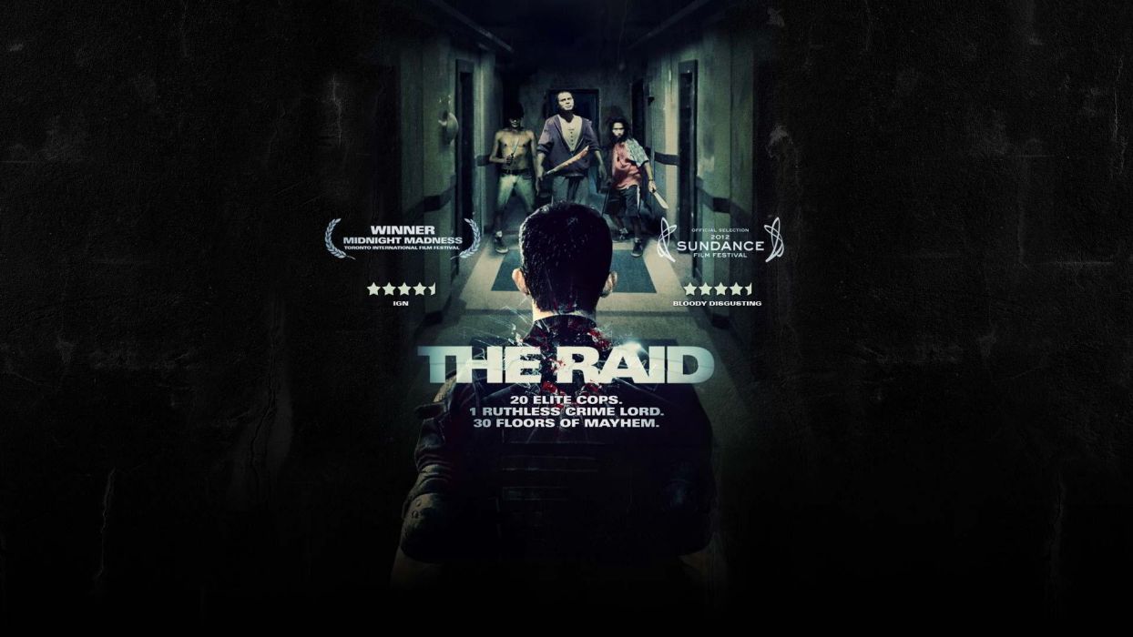 The Raid Martial Arts Action Crime Thriller