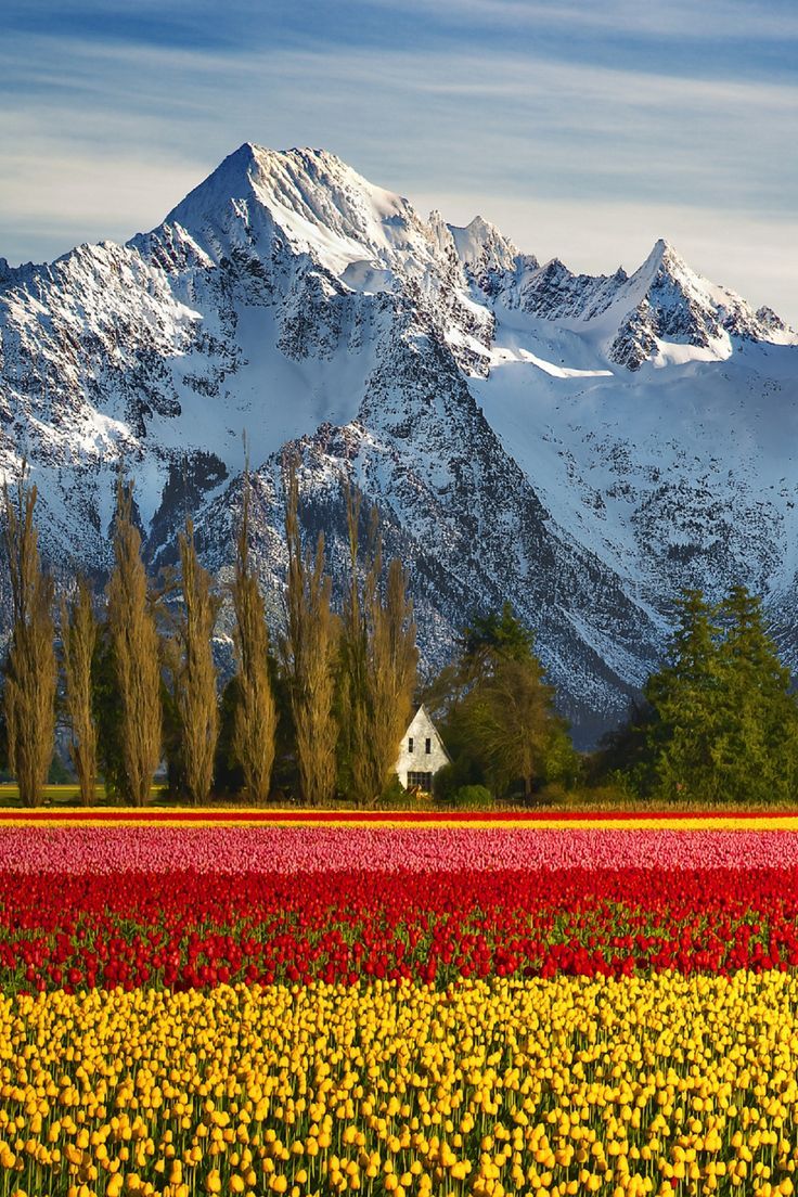 Sublim Ature Skagit County Washingtonlou Nicksic With Image