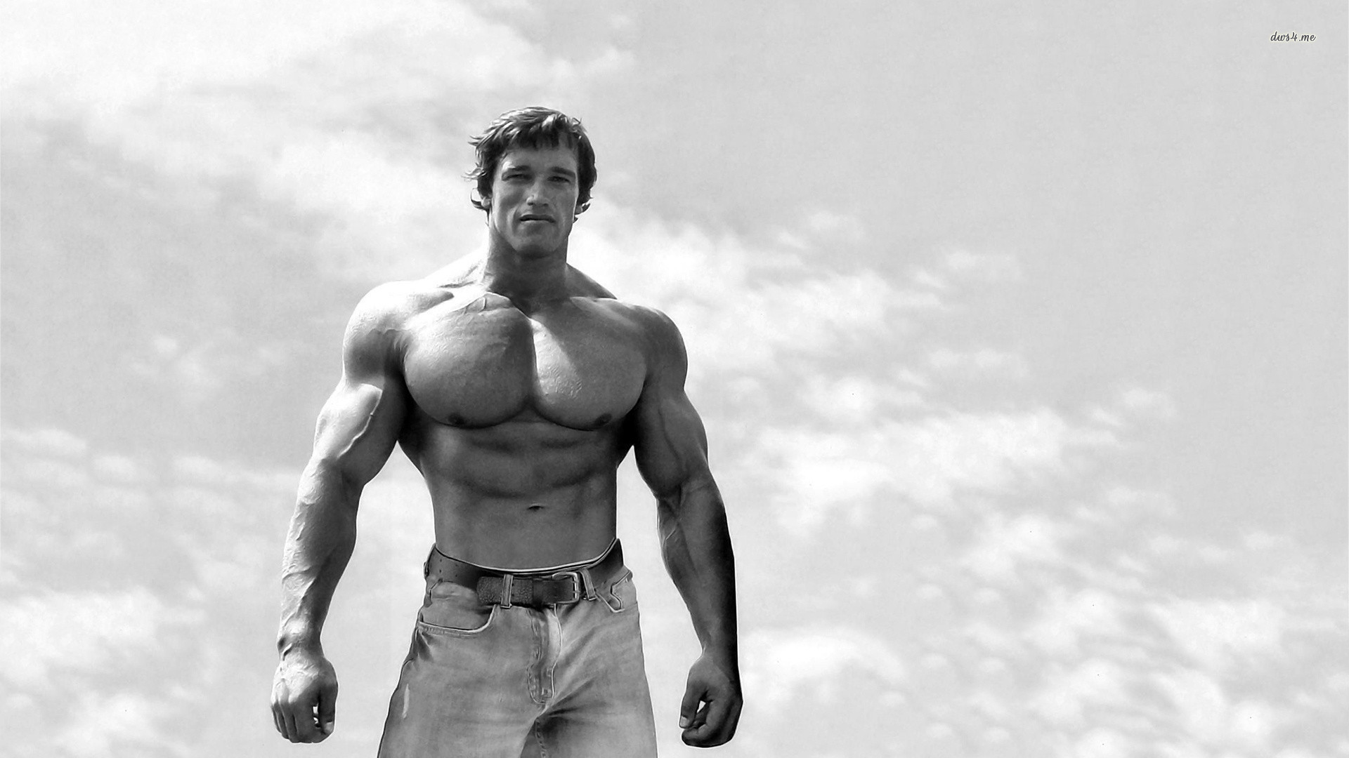 Arnold Schwarzenegger Mr Olympia Wallpaper HD