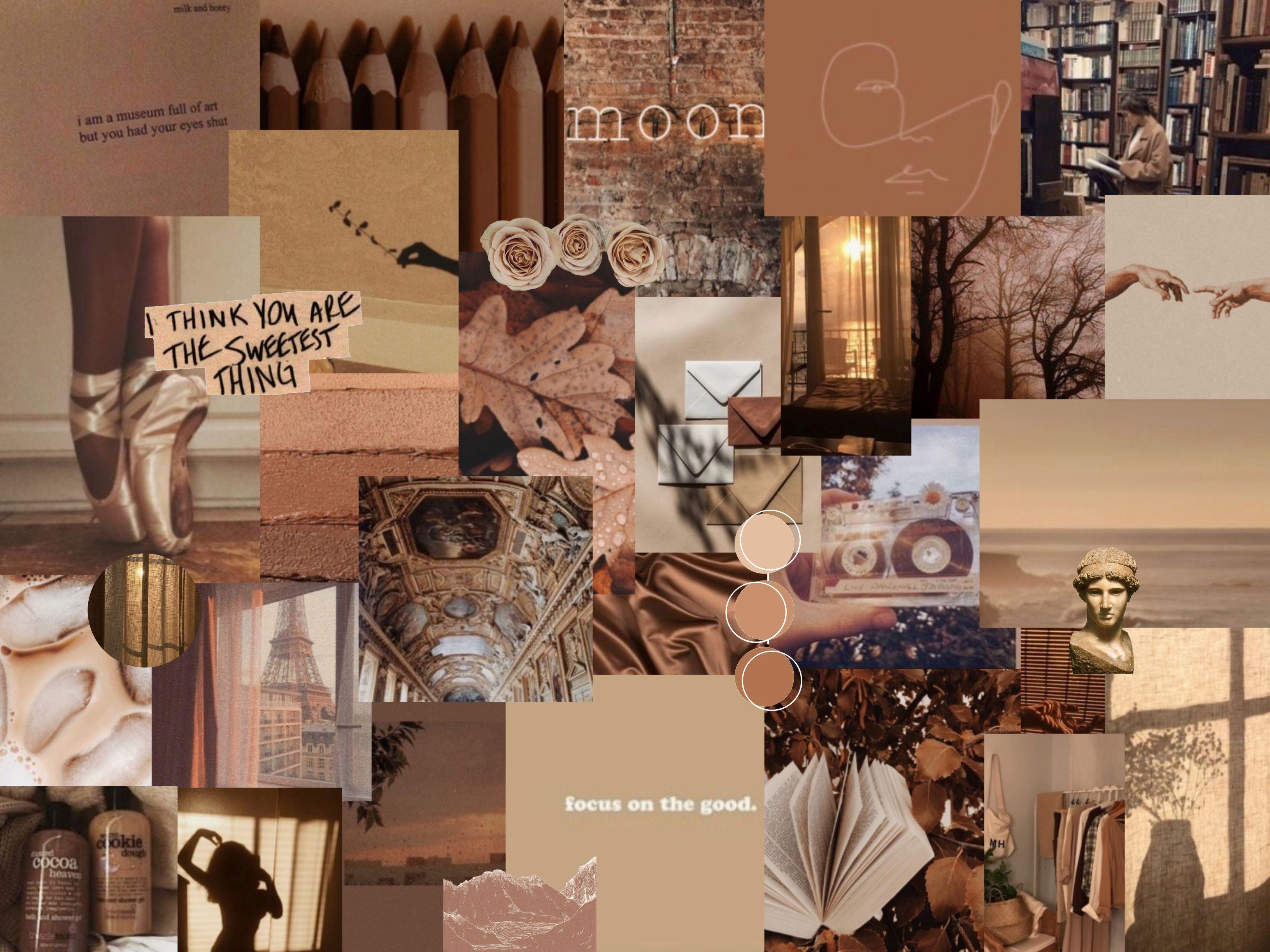 170 Brown HD Wallpapers and Backgrounds