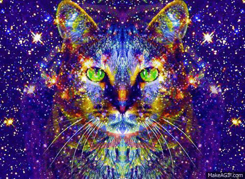 Trippy Psychedelic Lsd Weed Marijuana Cats Cat Awesome Kitty