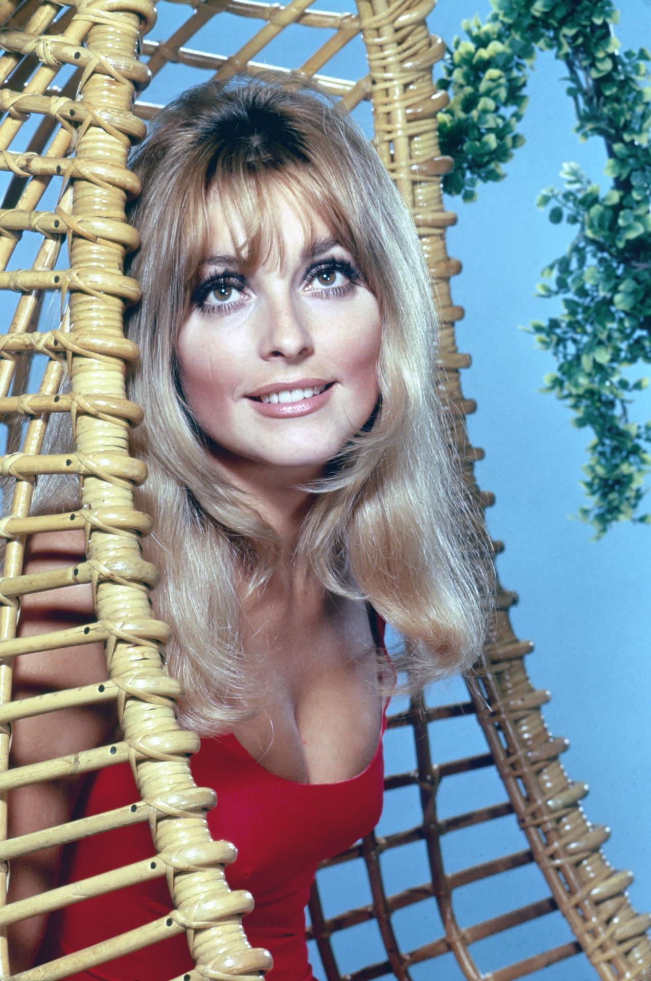 Top Sharon Tate Wallpaper Full HD 4k To Use