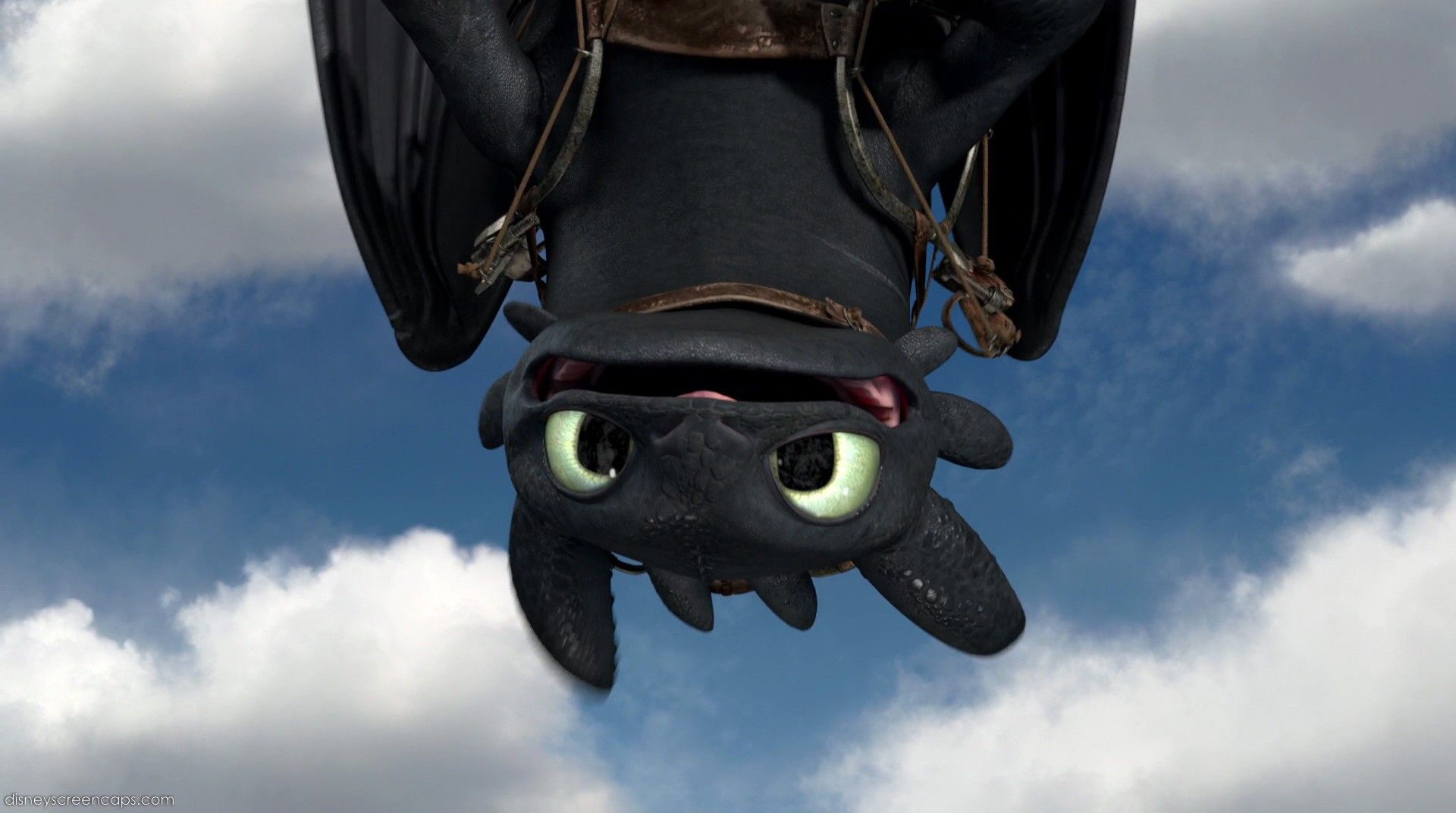 How To Train Your Dragon Nightfury Toothless Wallpaper