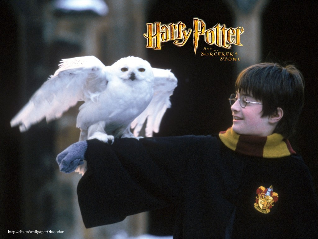 Free download Harry Potter [1024x768] for your Desktop, Mobile & Tablet