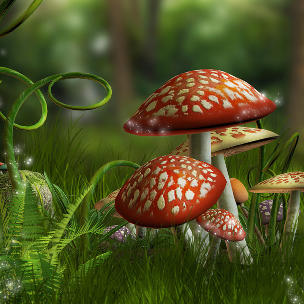 HD 3d Mushroom Background iPad Background Best Wallpaper