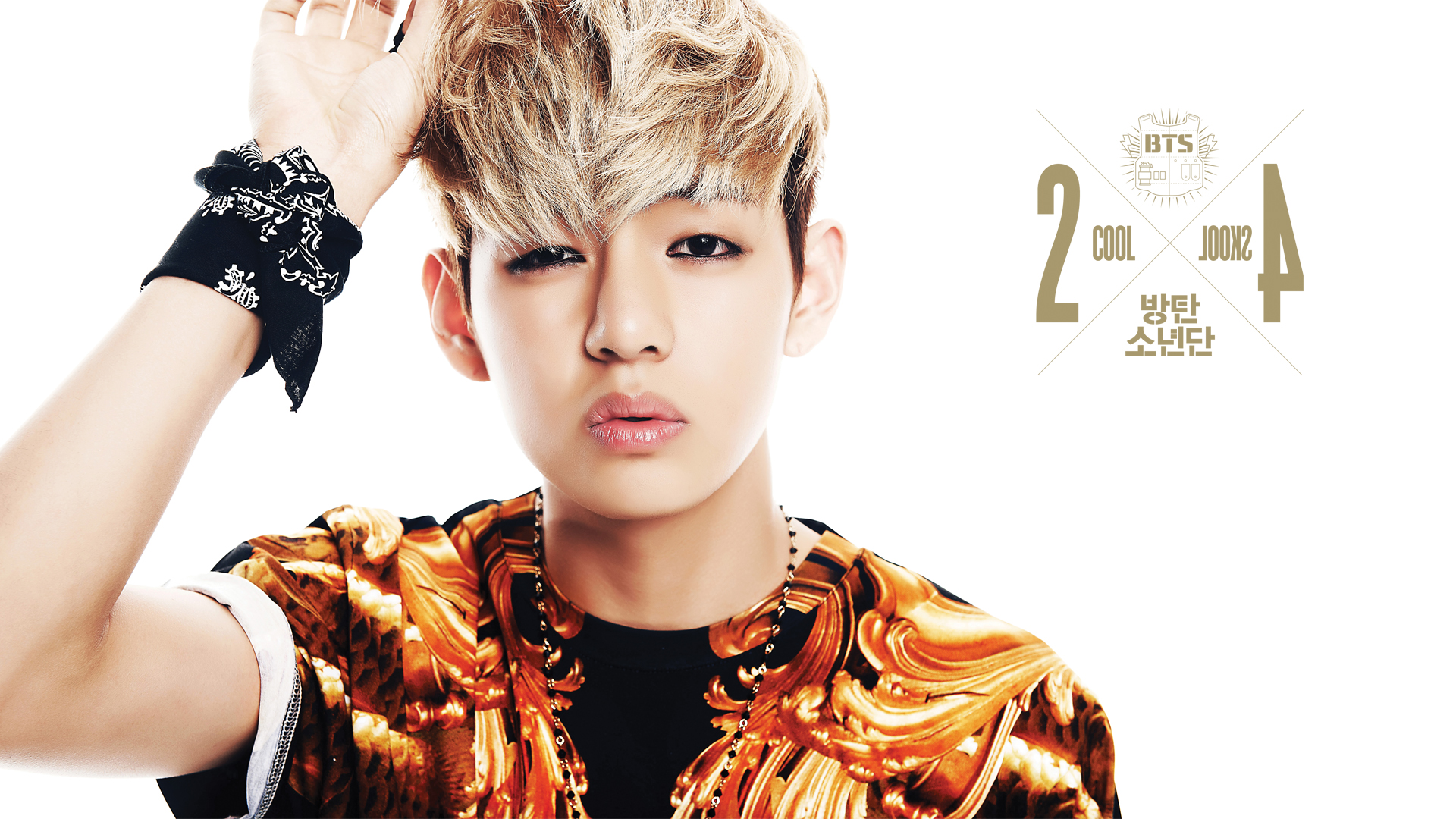 Bts HD Wallpaper Teaser Photo 2cool4skool V For Indo