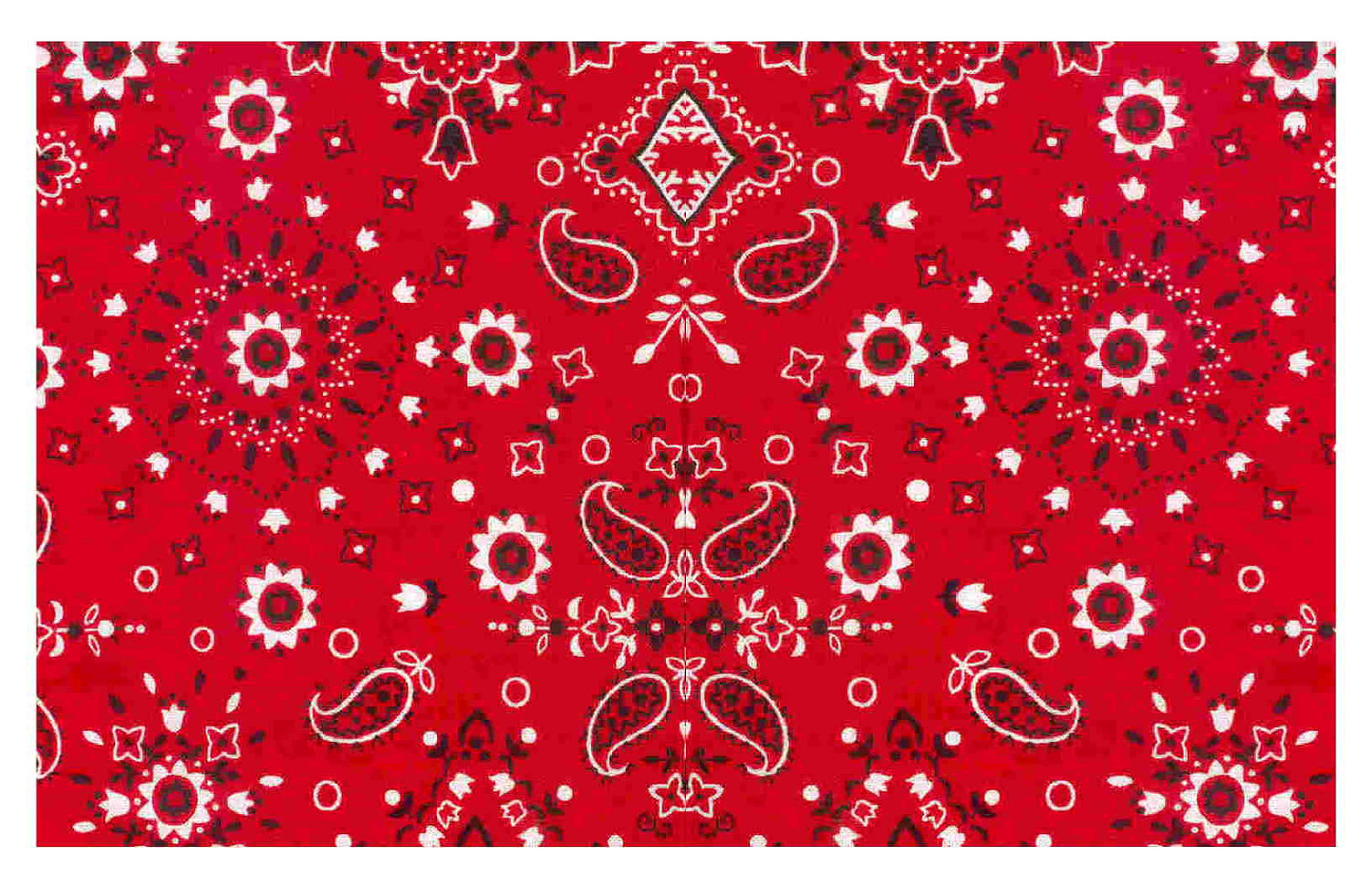 Displaying Image For Red Bandana Pattern