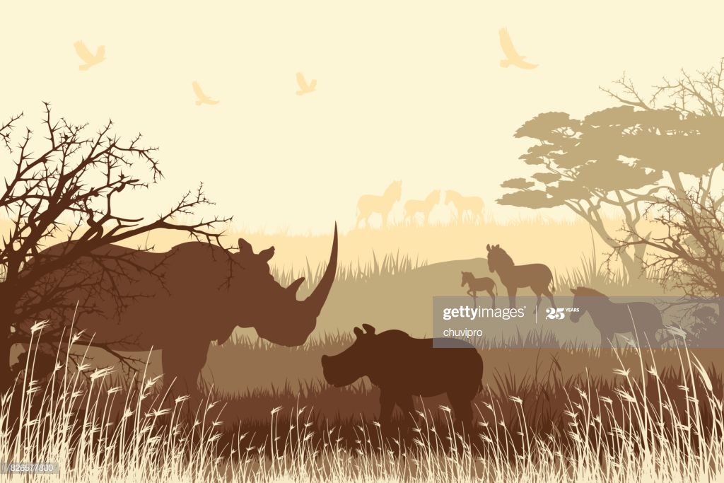 African Safari Background With Rhino Family And Zebras High Res