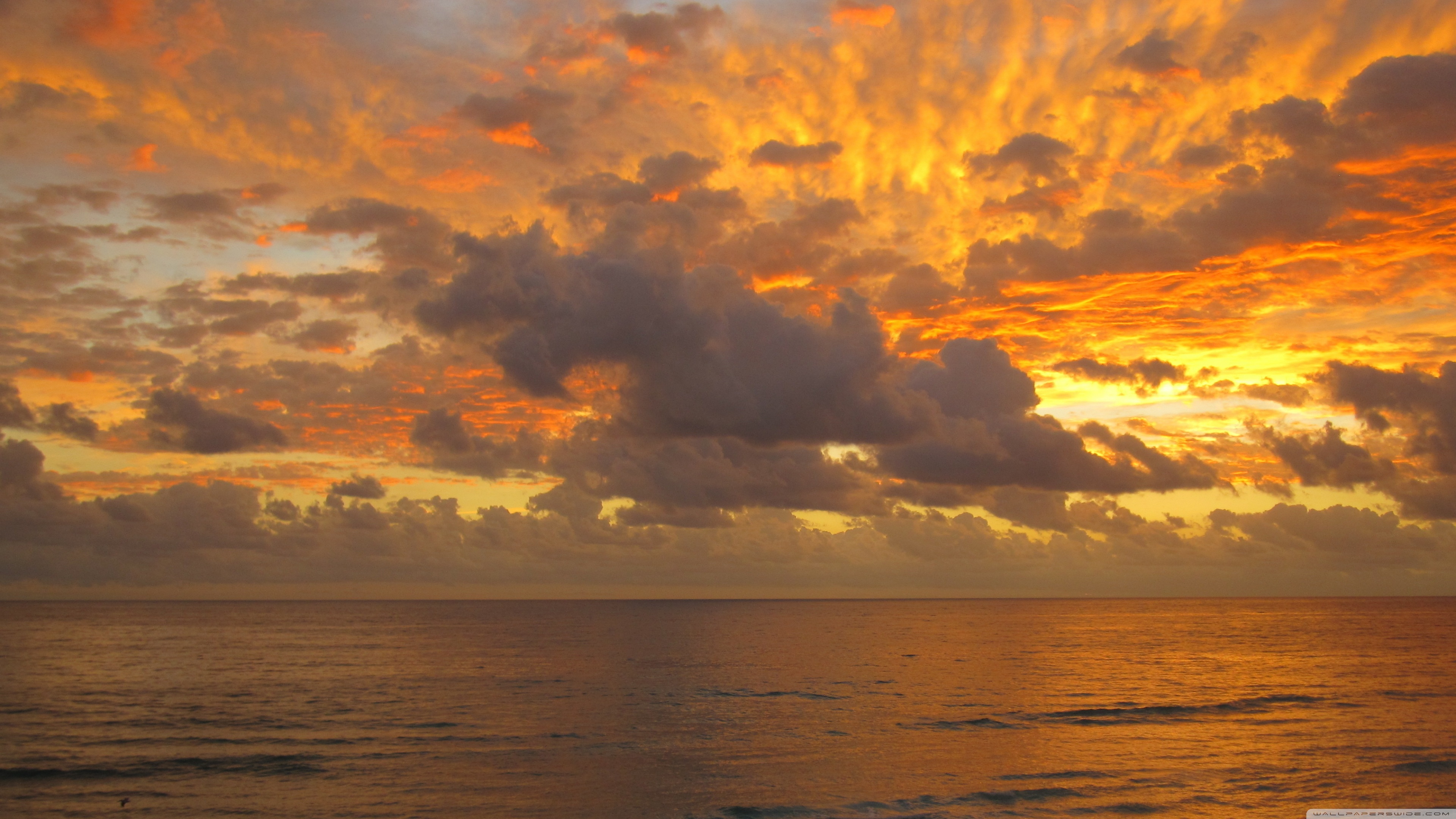 Golden Sunset Clouds Ultra HD Desktop Background Wallpaper For