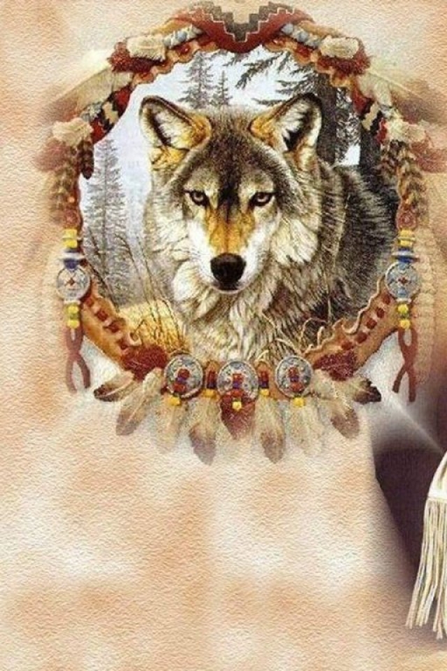  wolf in dream catcher a forgotten people Wallpaper Free Wallpapers