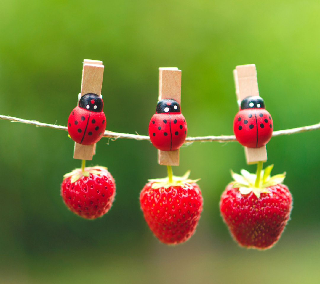 Tags Ladybugs And Strawberries Wallpaper1080x960 Wallpaper