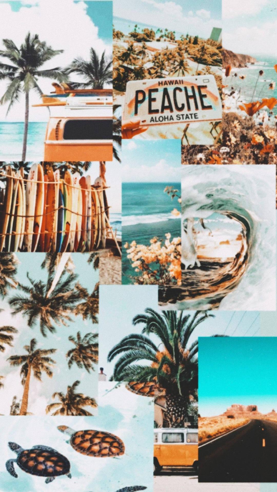 Download Summer Aesthetic Beach Vibe Collage Wallpaper