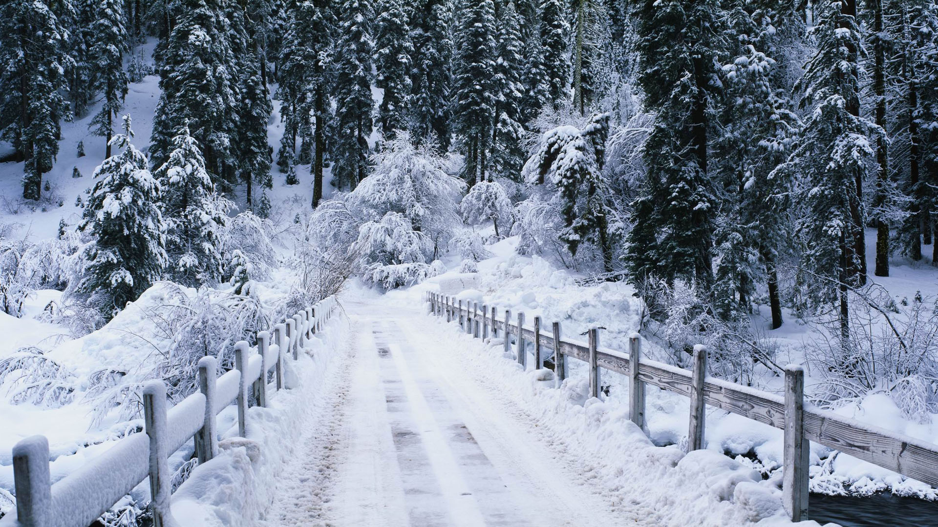 Snowy bridge 1920 x 1080 Forest Photography MIRIADNACOM