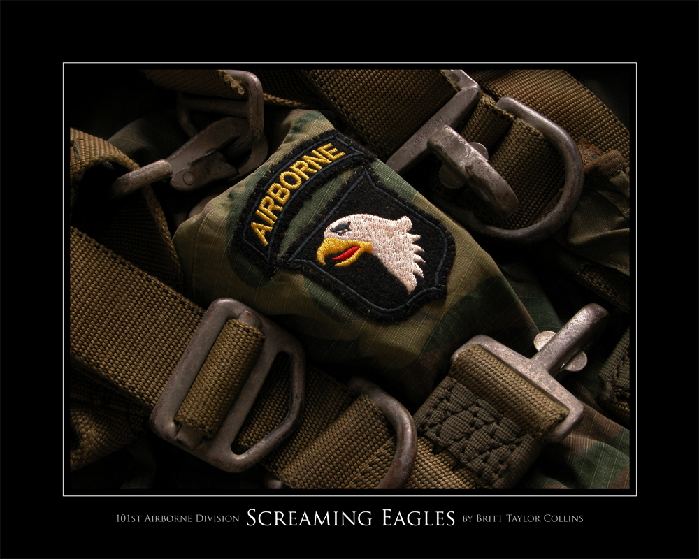 101st Airborne Screaming Eagles Division