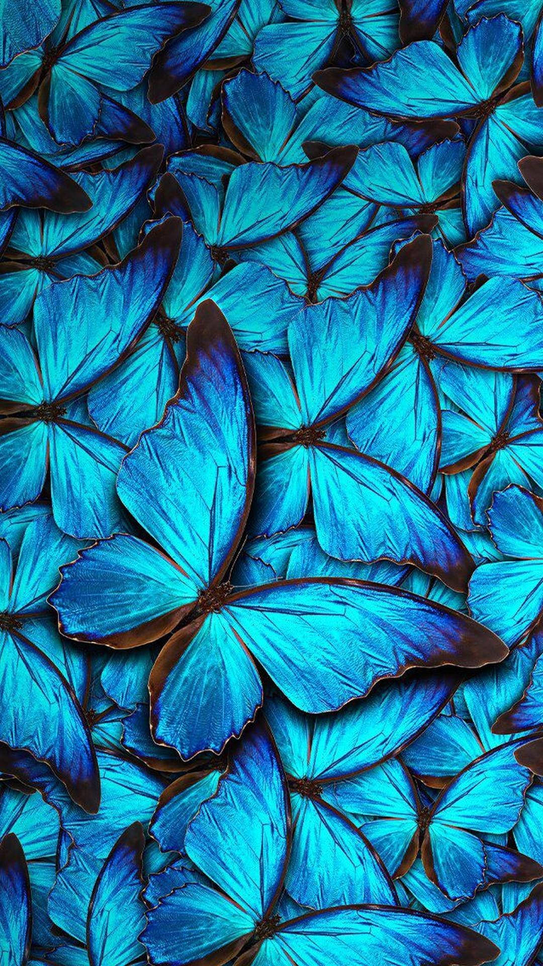 Butterfly iPhone Close Up Photograph Tb5rrtryhp8dmqr1 Wallpaper