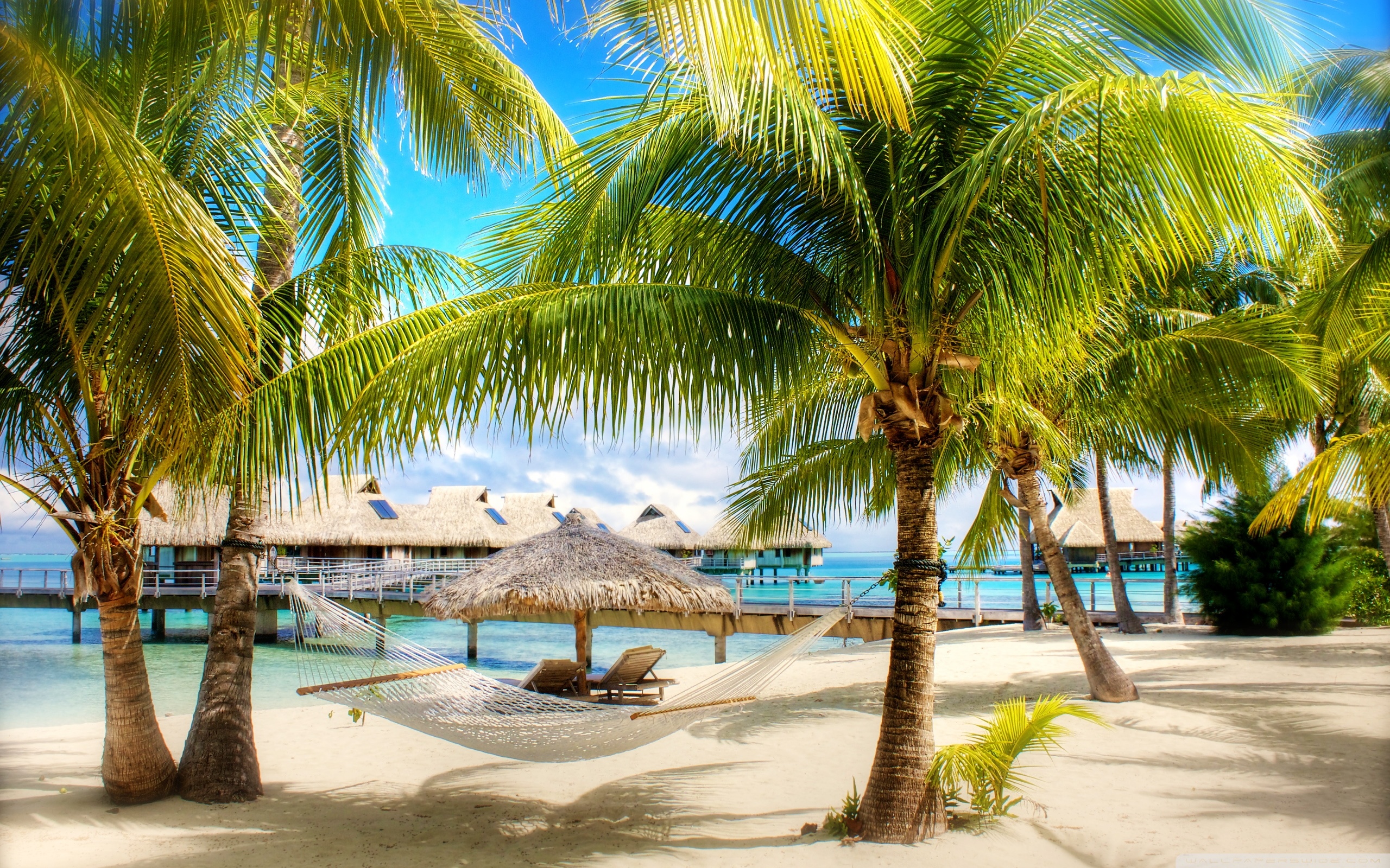 Tropical Beach Resort 4k HD Desktop Wallpaper For Ultra