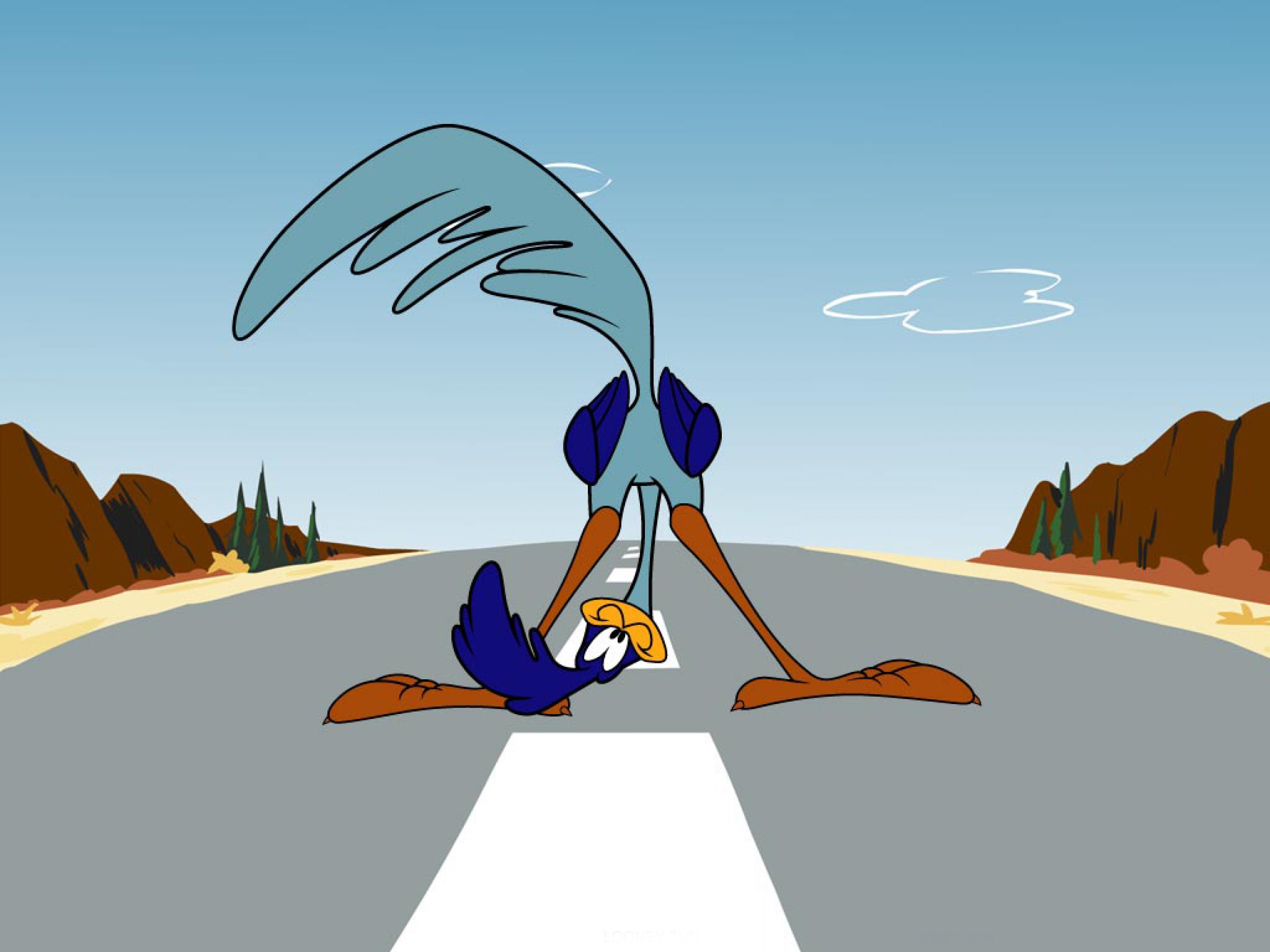 Wile E Coyote Road Runner Looney F Wallpaper Background
