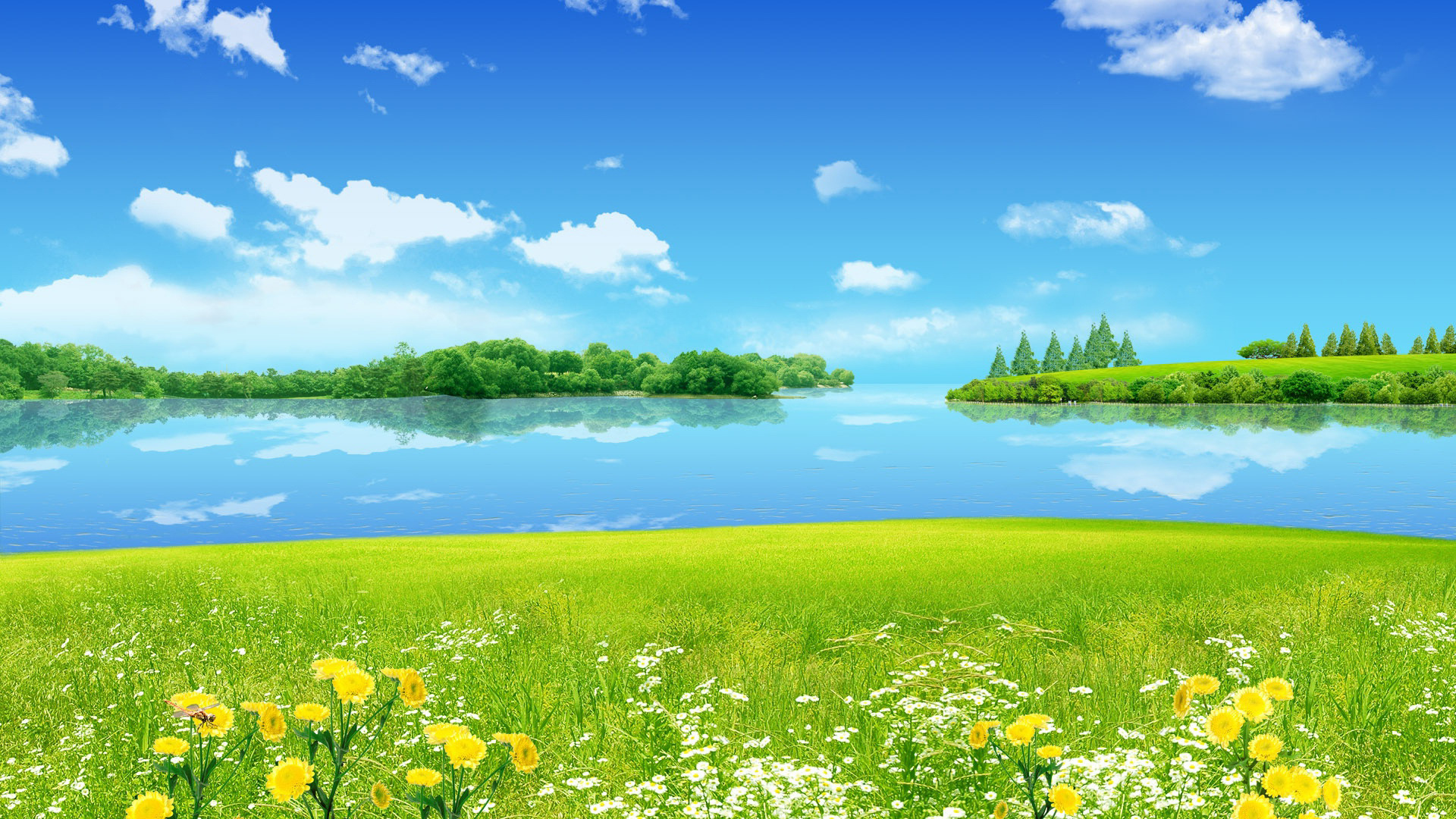 Sunny Spring Day HD Wallpaper
