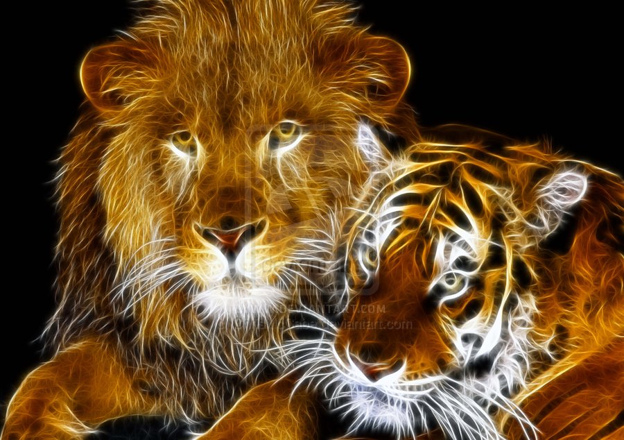 Image Of Lion And Tiger All Wallpaper New