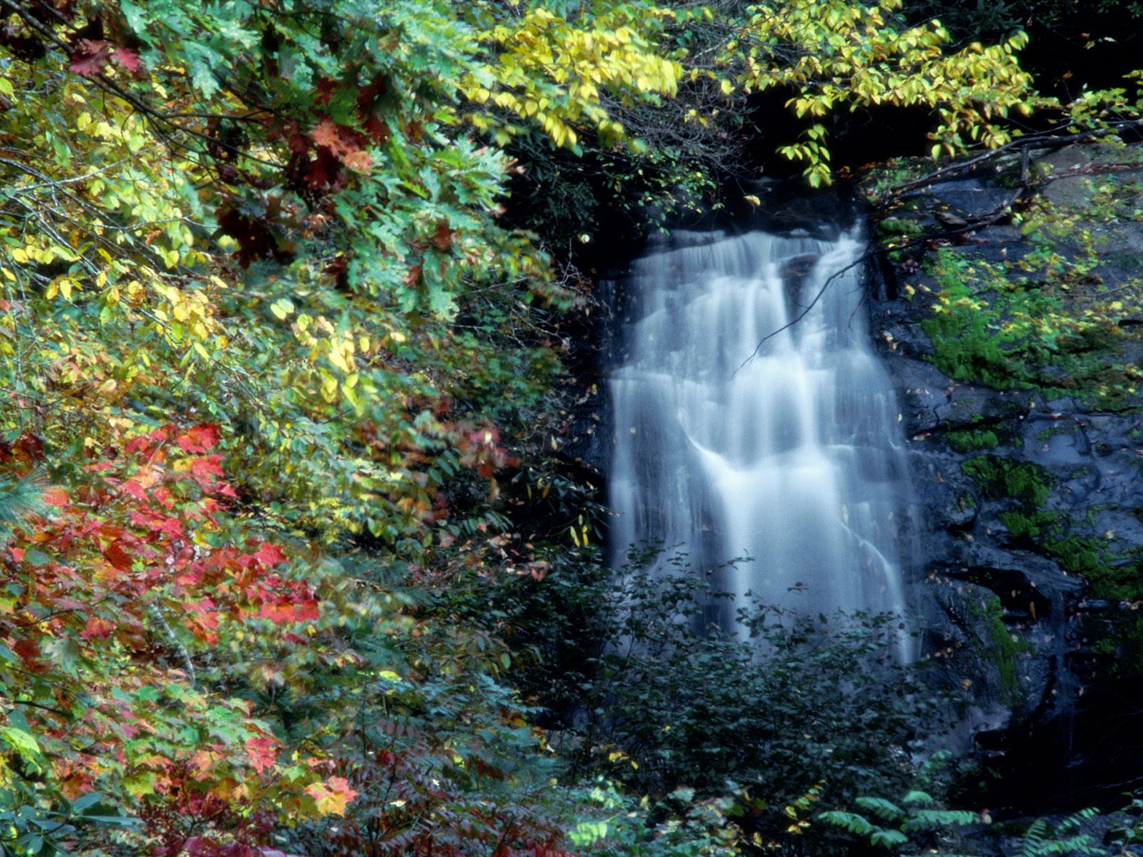 Meigs Falls Great Smoky Mountains National Park Tennessee00 Wallpaper