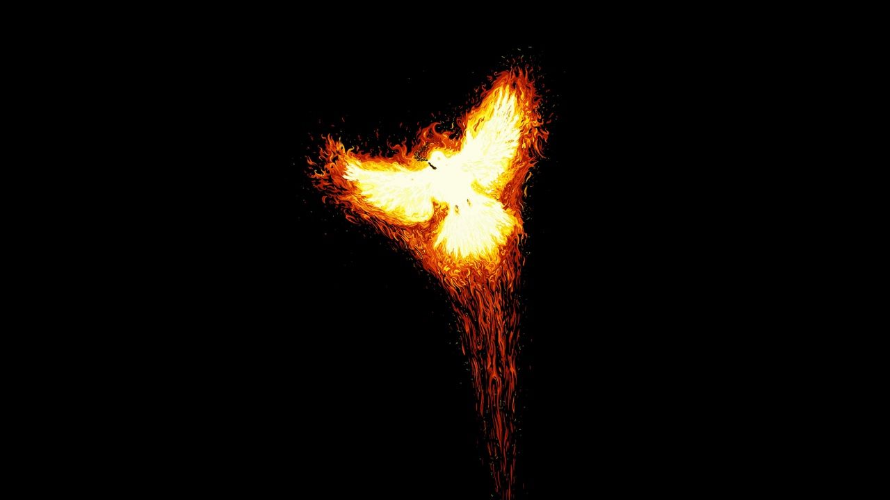 Wallpaper Rise Phoenix Myth Fire Bird