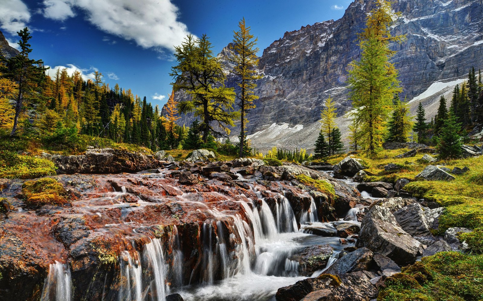 Beautiful Scenery Mountain River Rocks Rocky Pine Shua Yoho Wallpaper