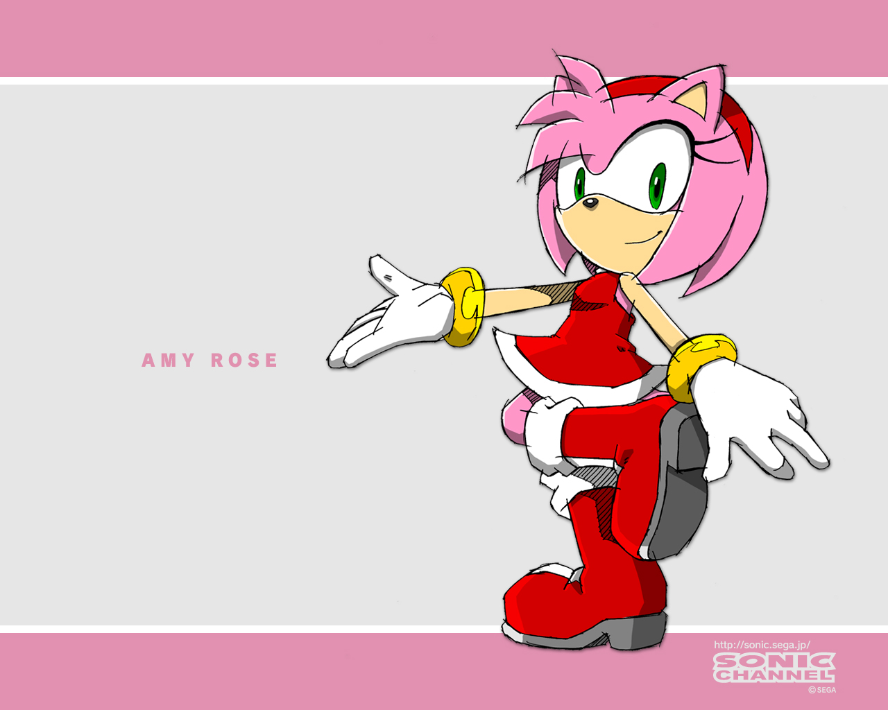 Amy Rose Wallpaper By Bloomsama
