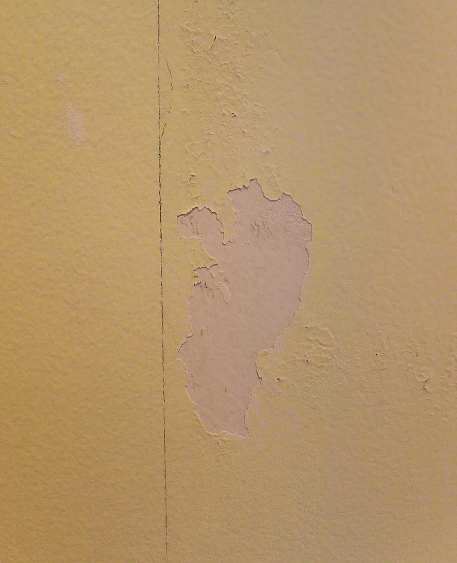 Painting Over Wallpaper Glue Be Sure To Do This First Driven