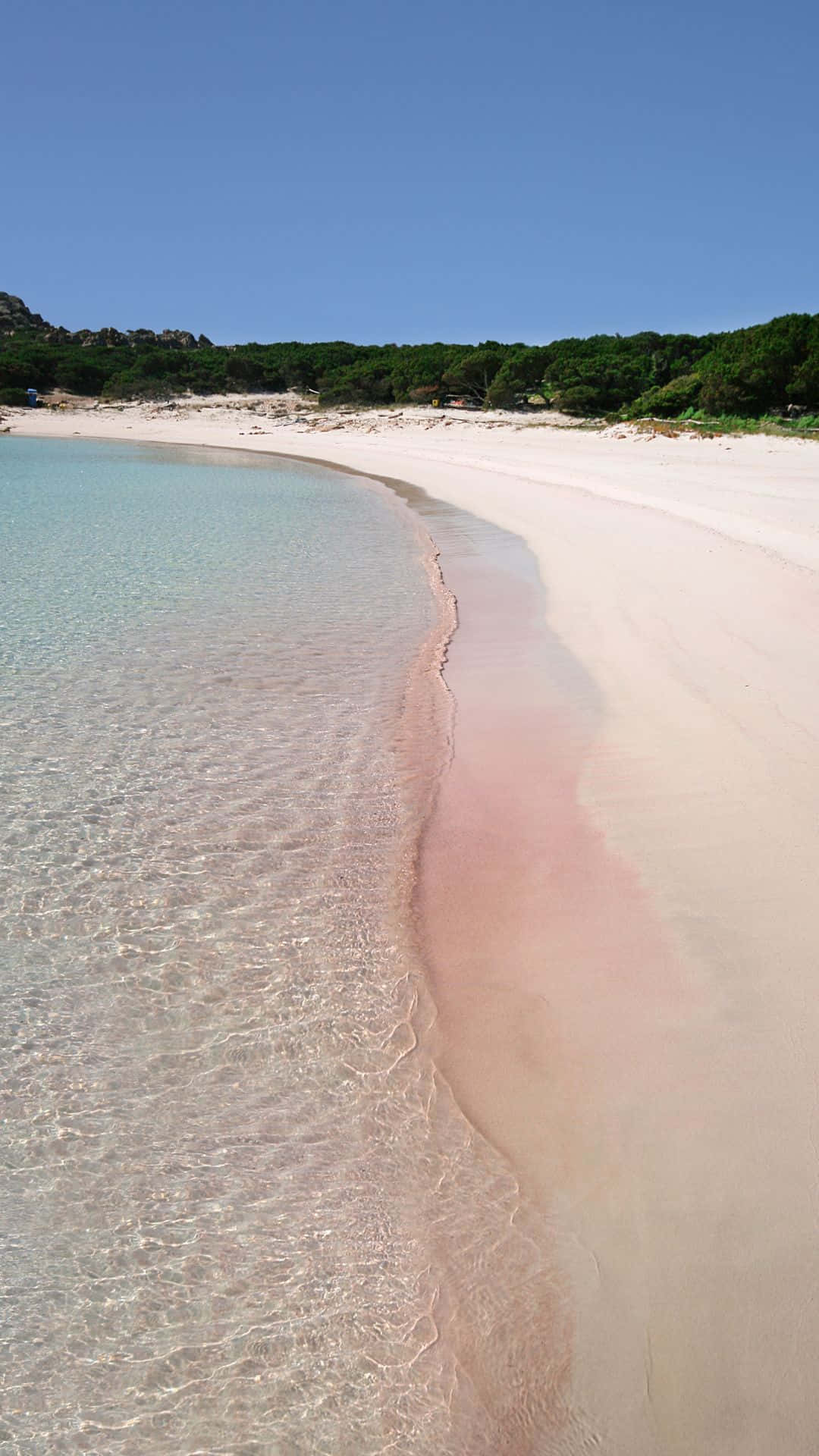 Pink Beach Wallpaper