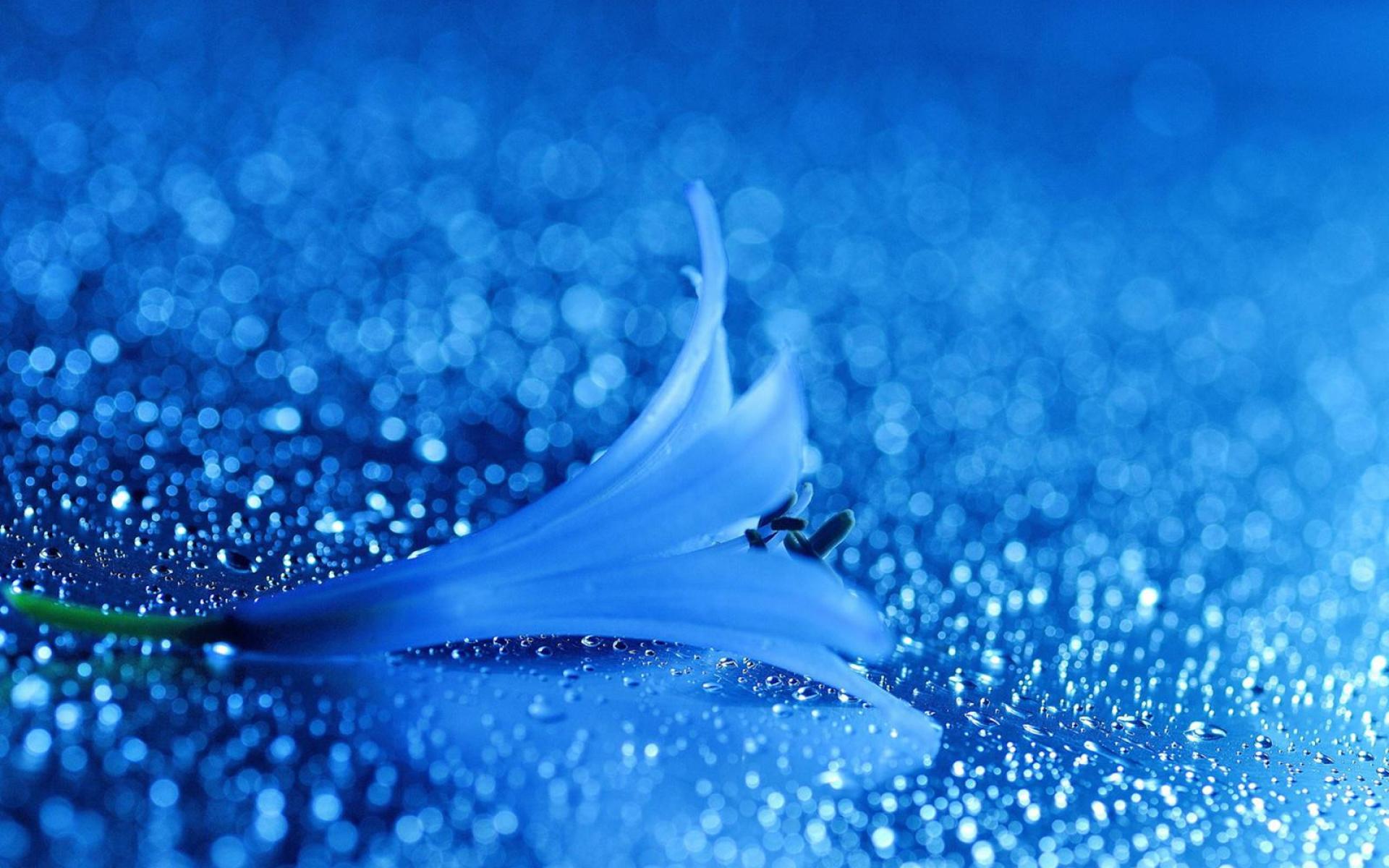 download pretty blue wallpaper which is under the blue wallpapers