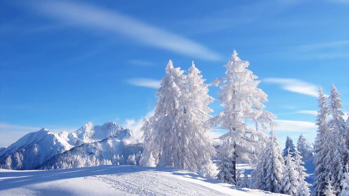 Widescreen Christmas Tree Winter In The Mountains Wallpaper