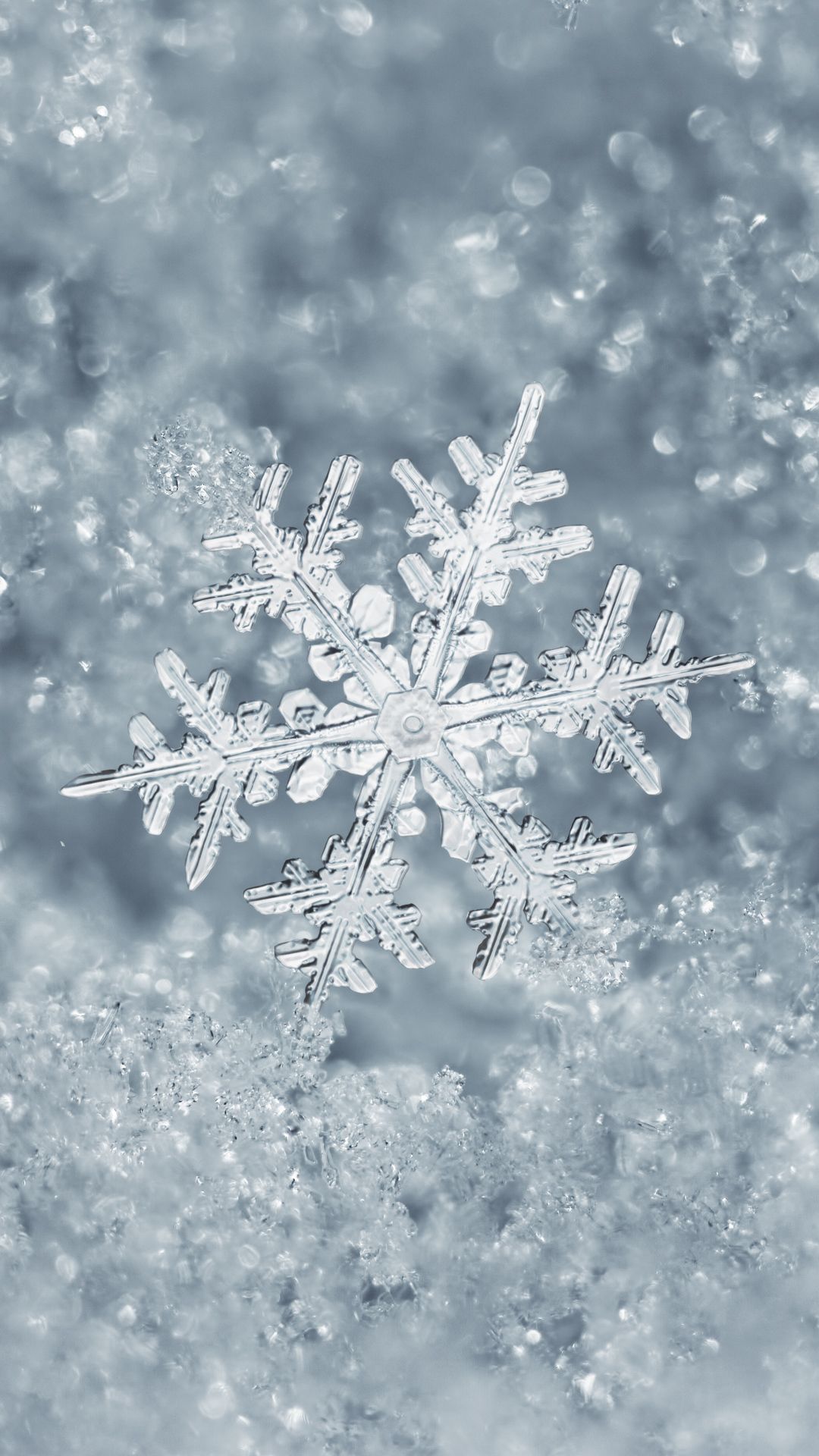 Ice Snowflake iPhone Plus Wallpaper Winter