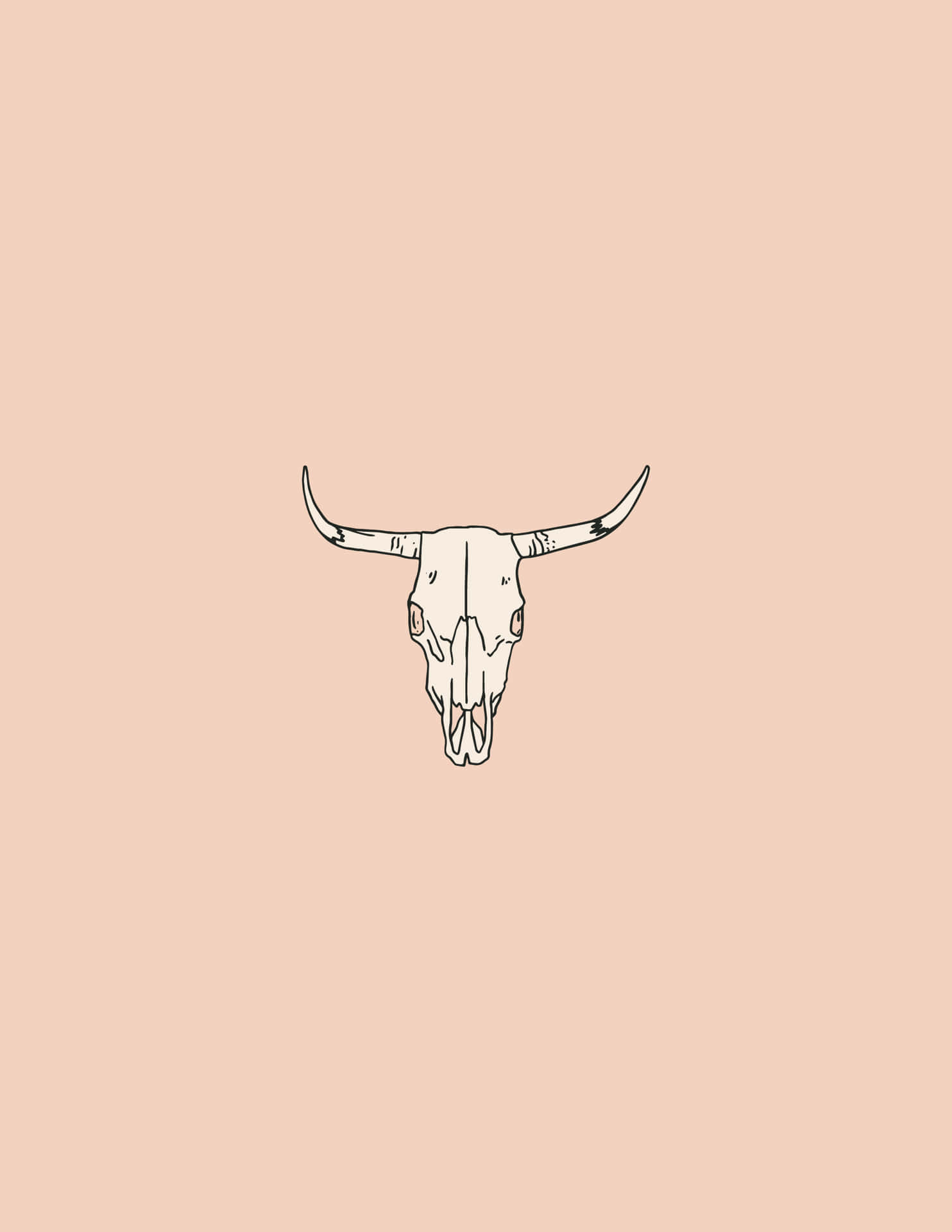 Bull Skull Wallpaper