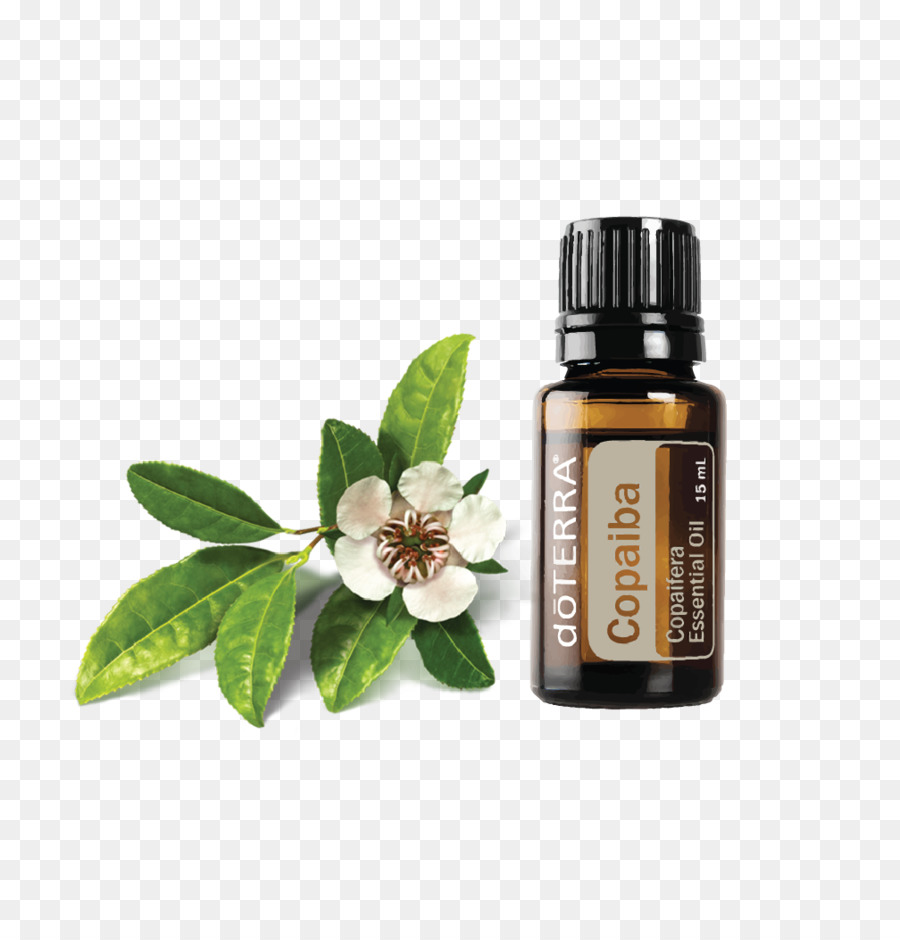 Oil Background Png Transparent