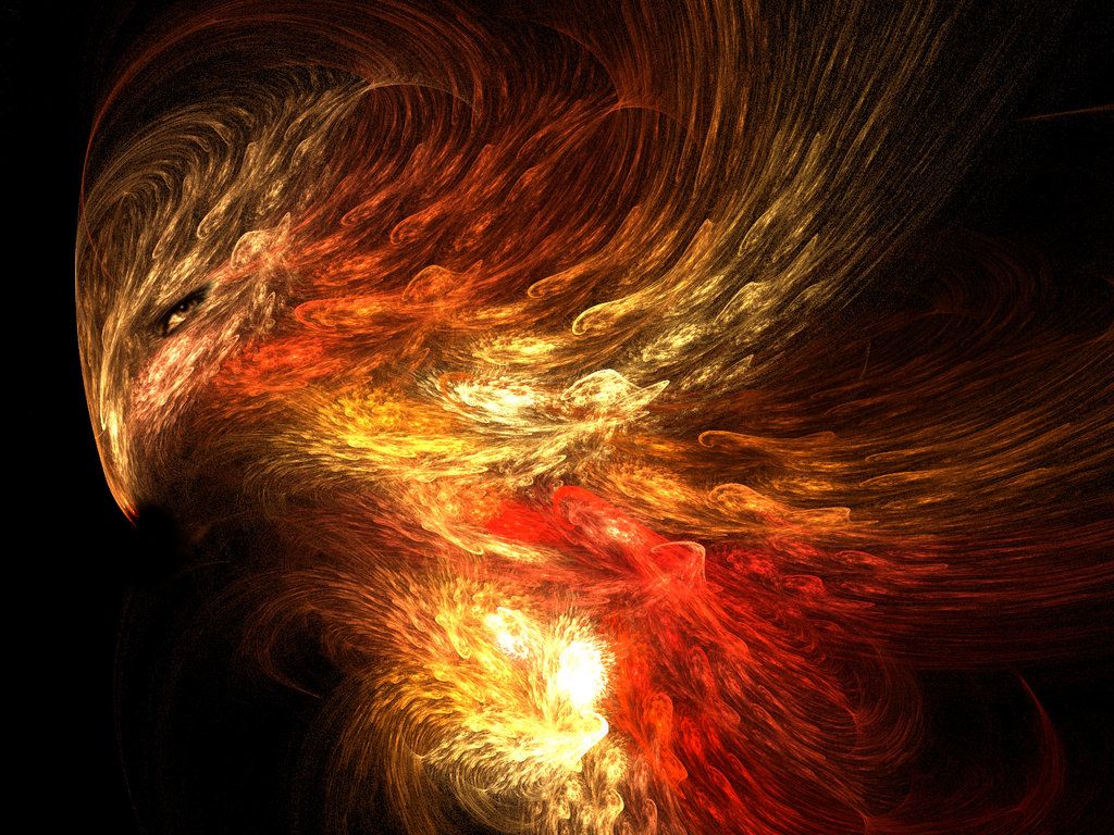 Phoenix Bird Art The Fire By S T P