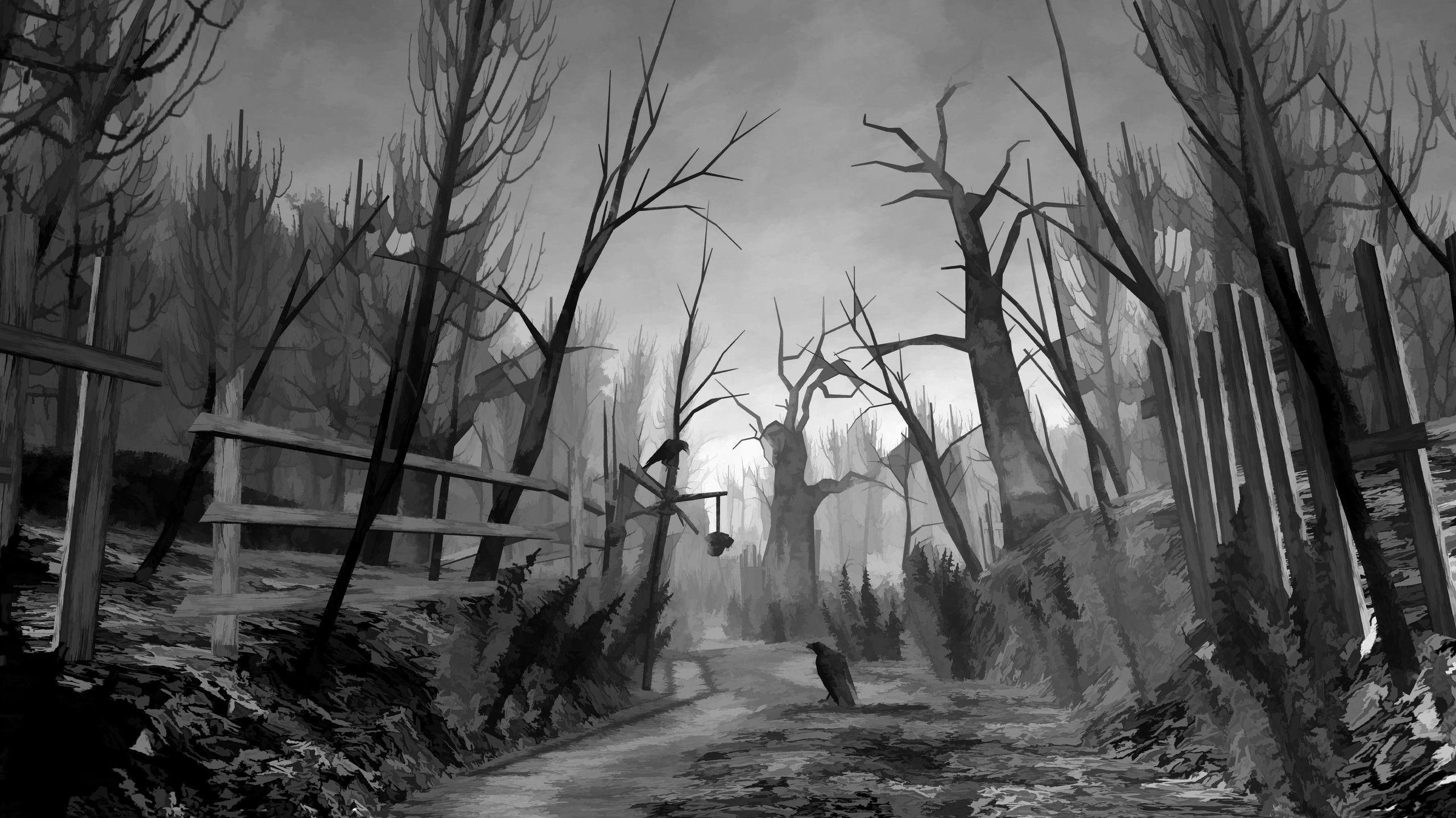 Scary Background Wallpaper Creepy Forest