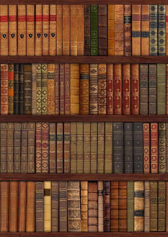 Library Bookcase Old Books Wall Mural Decor Photo Wallpaper Art