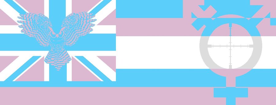 Transgender Flag By Blackhawk1989