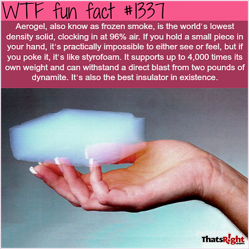 Image Wtf Fun Facts Wallpaper Funny Quotes Lol Strange Picture