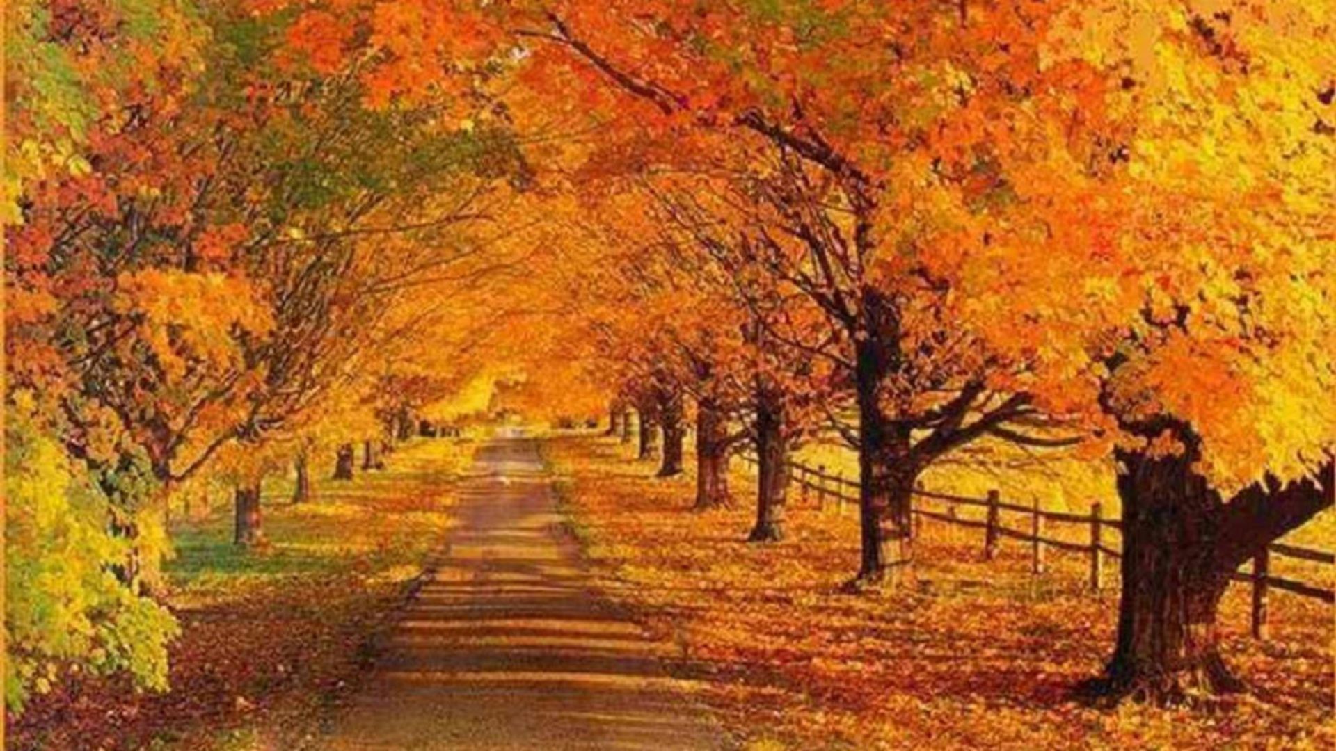 Xmwallpaper Wallpaper Other Landscape Autumn Road