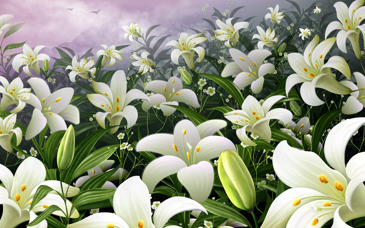 White Lilies Flowers Wallpaper