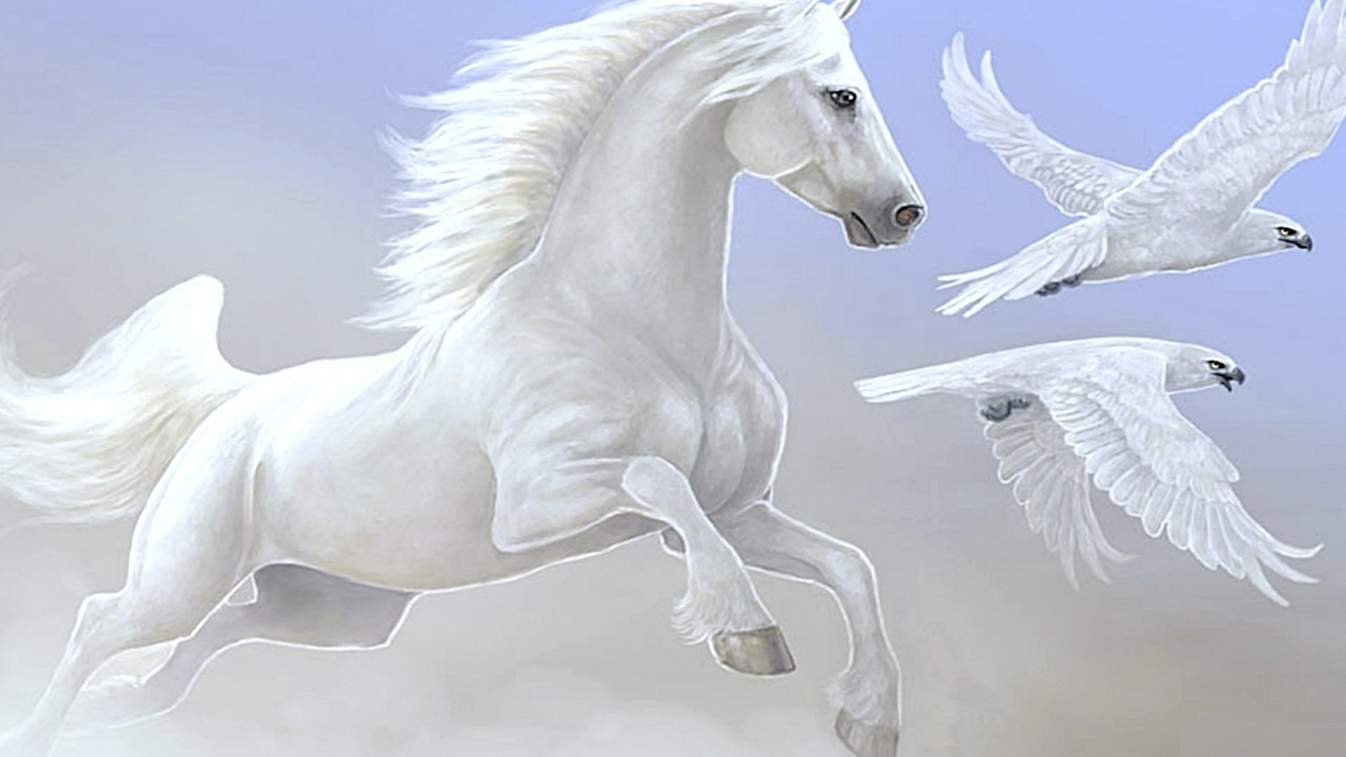 White Horse Wallpaper