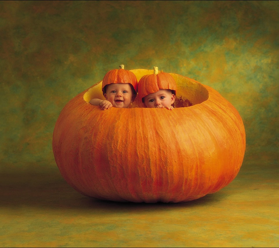 Cute Pumpkin Wallpaper HD