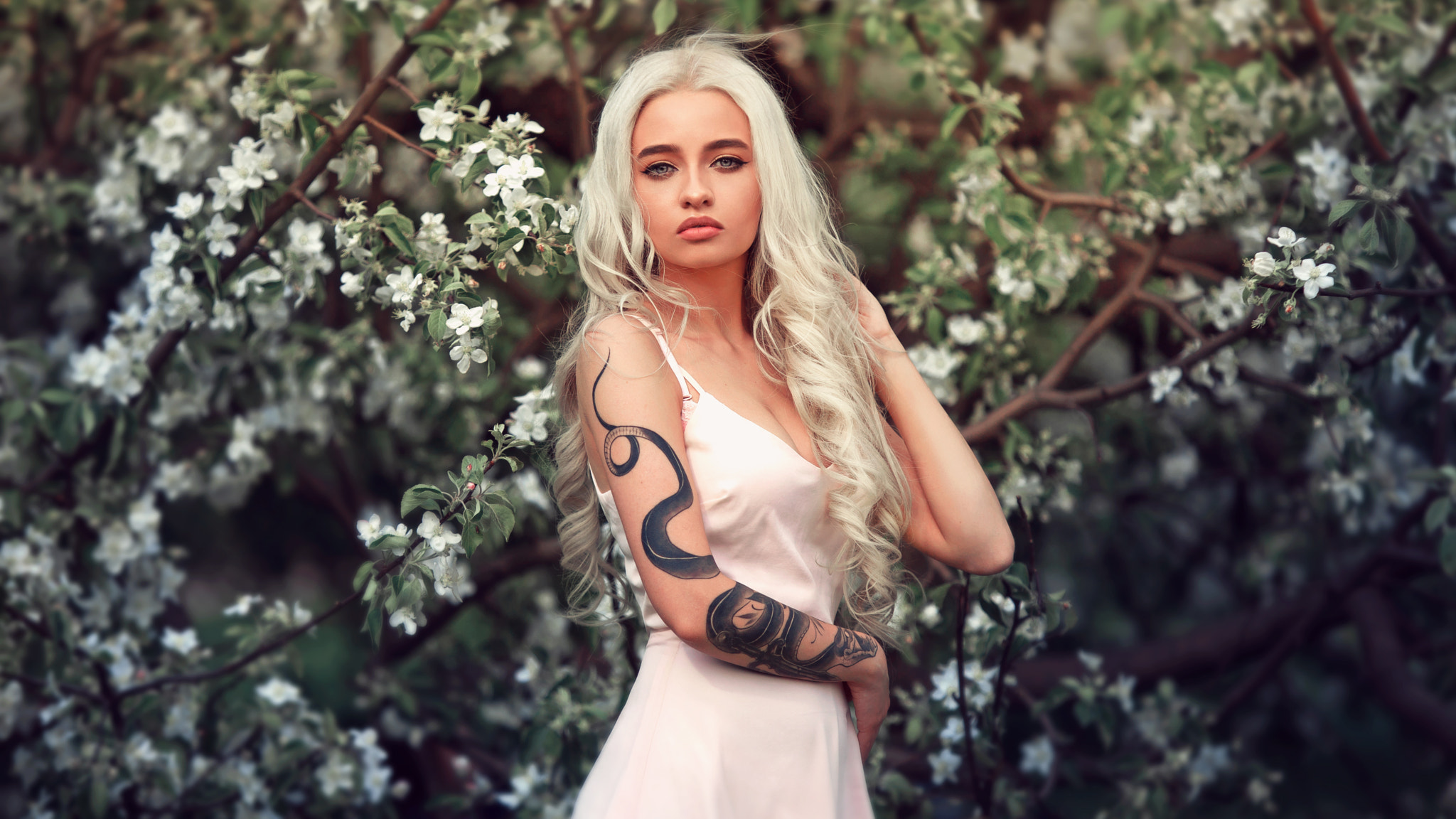 Blossom Blue Eyes White Hair Long Dress Model Woman Wallpaper