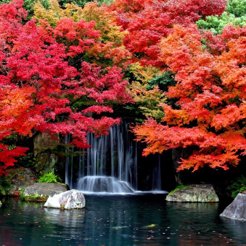 Cool Wallpapers with Autumn Leaves and Waterfall for iPad Air Retina