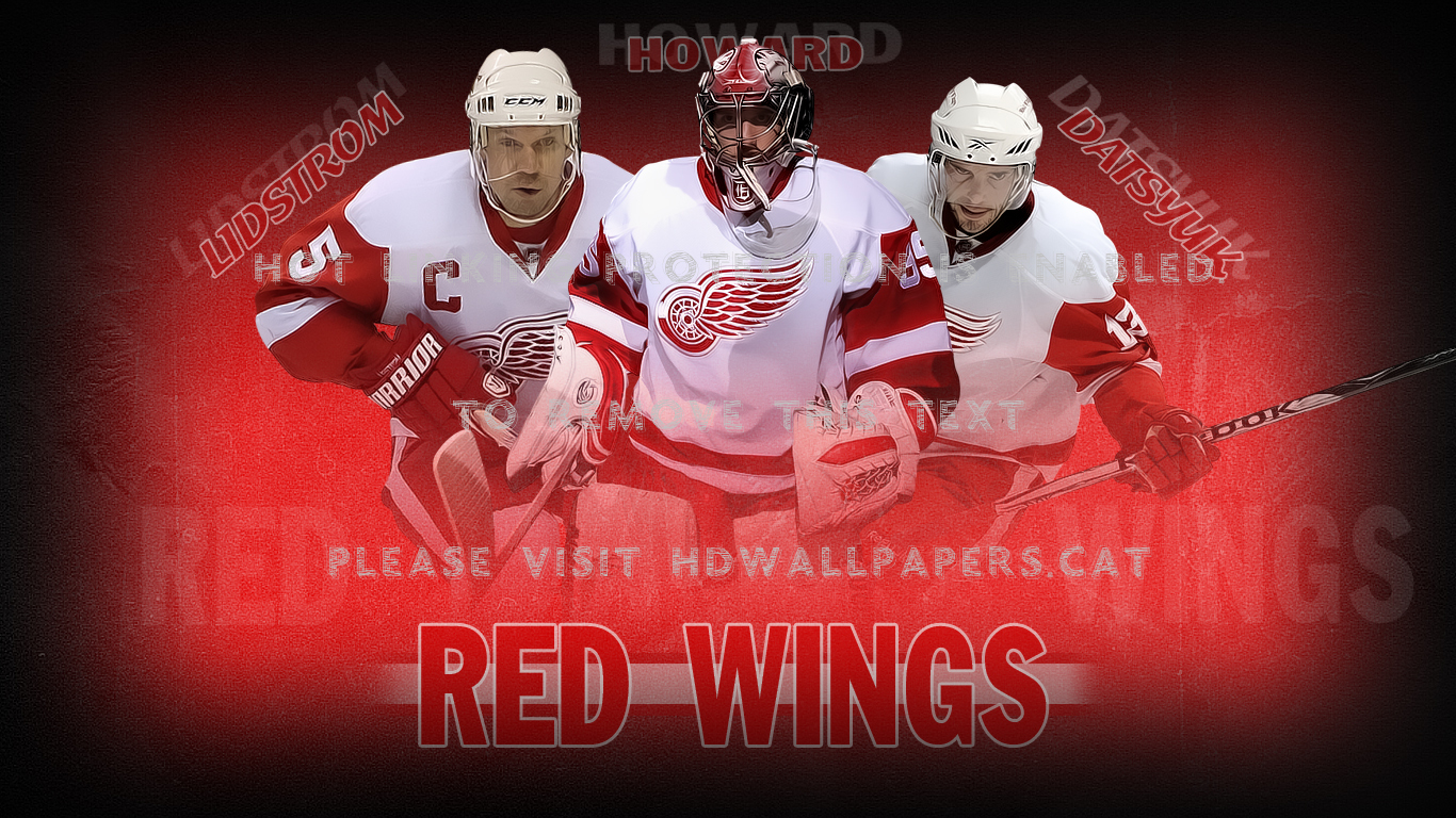 Red Wings Hockey Howard Datsyuk Lidstrom Nhl