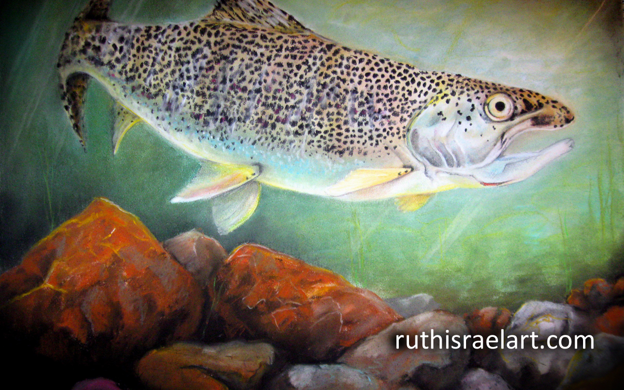 Trout Wallpaper Ruth Israel Art