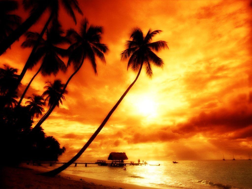 Cool HD Nature Desktop Wallpapers Tropical Sunset Wallpaper