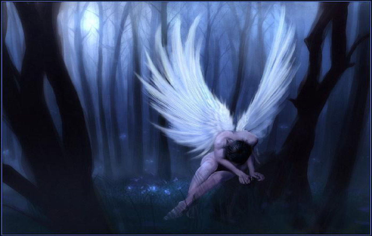 Angels And Fairies Image Wallpaper Photos
