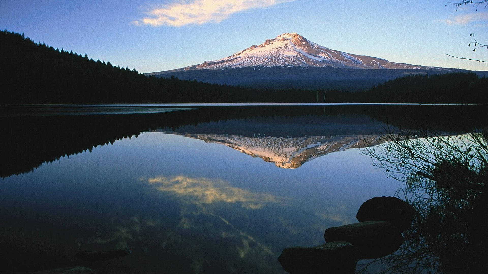 Minimalist Nature Wallpaper